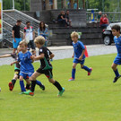 IMG_2828.jpg