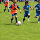 IMG_2849.jpg