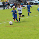 IMG_2891.jpg
