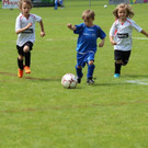 IMG_2906.jpg