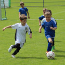 IMG_2918.jpg
