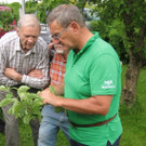Obstgartenbegehung
