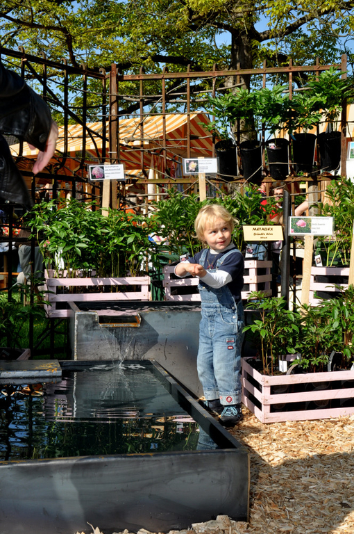 MarktAltach090.jpg