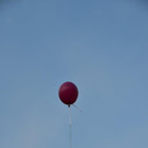 DSC_3916.jpg
