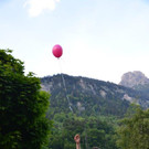 DSC_3917.jpg