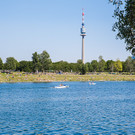 Besucher - Rock in Vienna - RIV 2015 - Florian Wieser - 009.jpg