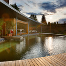Naturpool_Bildergalerie.jpg