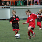 DSC_5981_jpg-1274652874