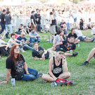 the hives - Rock in Vienna - RIV 2015 - Florian Wieser - 002.jpg