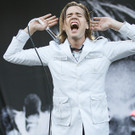 the hives - Rock in Vienna - RIV 2015 - Florian Wieser - 020.jpg