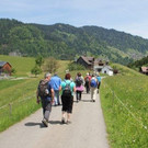 IMG_6537A.jpg
