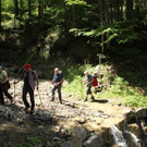 IMG_6547.jpg