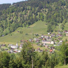 IMG_6559AA.jpg