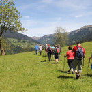 IMG_6561A.jpg