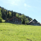 IMG_6570A.jpg
