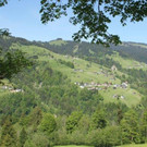 IMG_6604AA.jpg