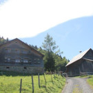 IMG_6606A.jpg