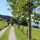 IMG_6621A.jpg