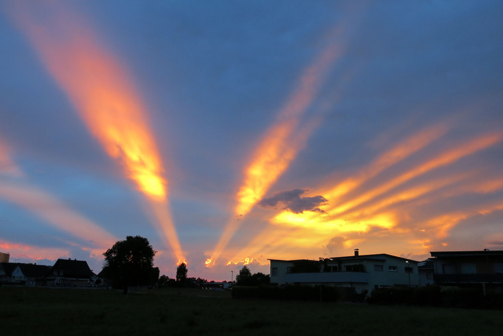 Licht1_jpg-1431.jpg