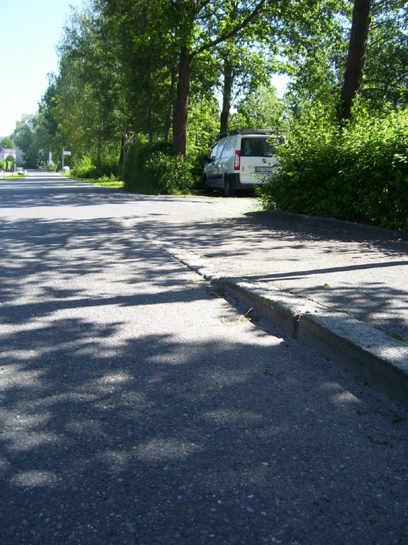 100_9816_jpg-1274693423