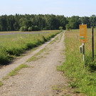 IMG_2305.JPG