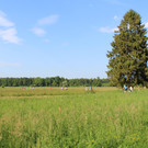 IMG_2311.JPG