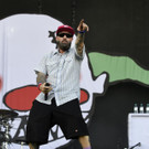 Rock in Vienna 2015: Limp Bizkit