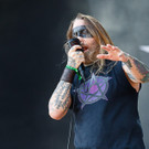 coal chamber - Rock in Vienna - RIV 2015 - Florian Wieser - 013.jpg