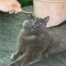 boby2.jpg