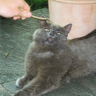 Boby