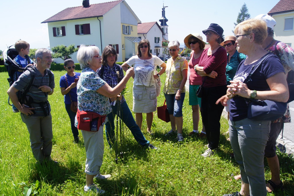 Umweltwoche KR__UTERWANDERUNG Schmid 03-06-2015 _2_.JPG