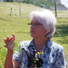 Umweltwoche KR__UTERWANDERUNG Schmid 03-06-2015 _4_.JPG