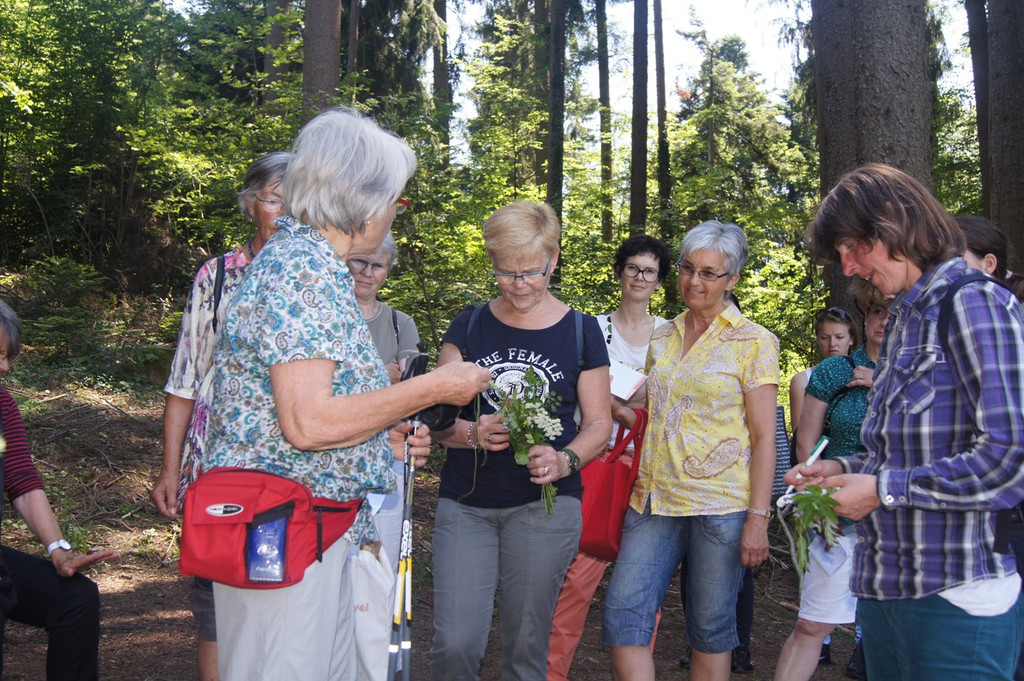 Umweltwoche KR__UTERWANDERUNG Schmid 03-06-2015 _6_.JPG