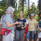 Umweltwoche KR__UTERWANDERUNG Schmid 03-06-2015 _6_.JPG
