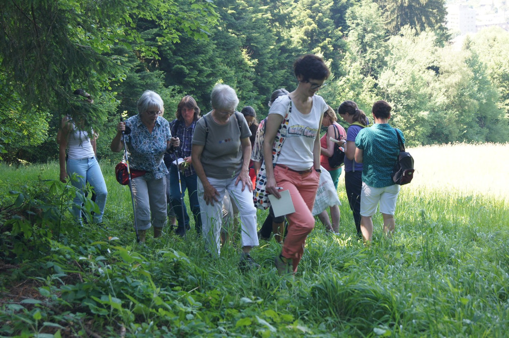 Umweltwoche KR__UTERWANDERUNG Schmid 03-06-2015 _8_.JPG