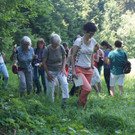 Umweltwoche KR__UTERWANDERUNG Schmid 03-06-2015 _8_.JPG