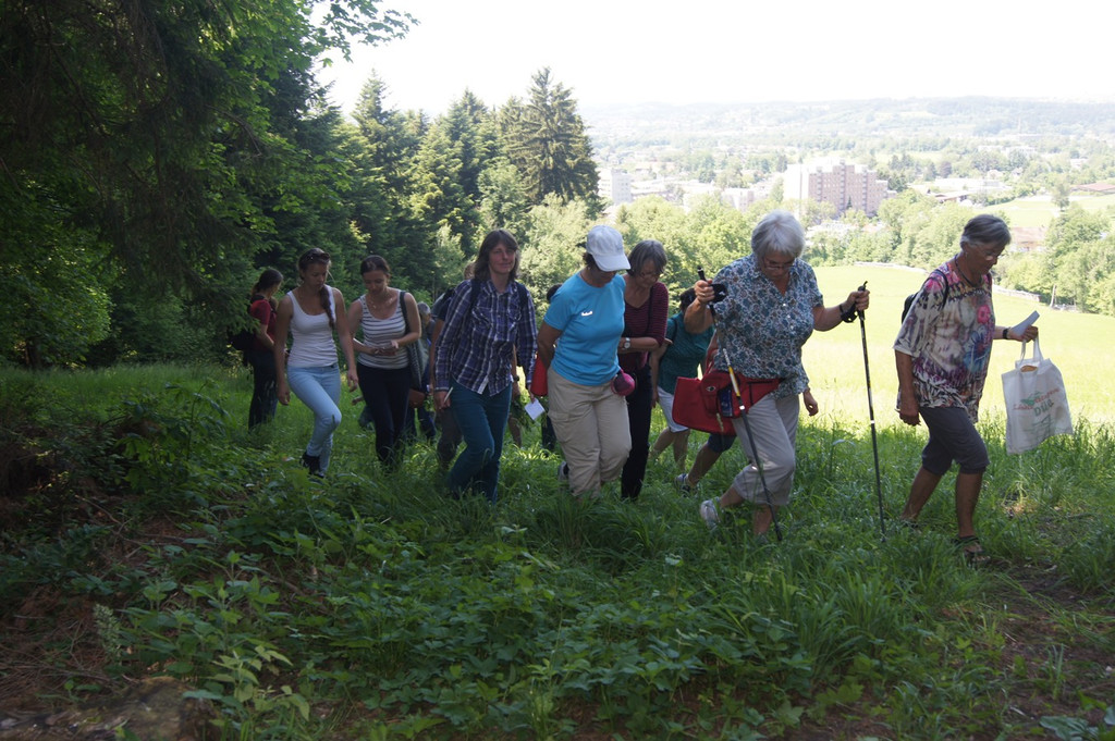Umweltwoche KR__UTERWANDERUNG Schmid 03-06-2015 _9_.JPG