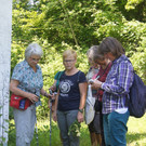 Umweltwoche KR__UTERWANDERUNG Schmid 03-06-2015 _11_.JPG