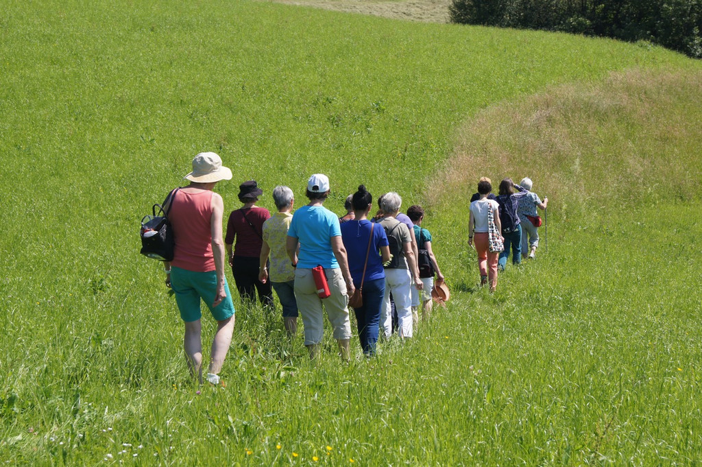 Umweltwoche KR__UTERWANDERUNG Schmid 03-06-2015 _12_.JPG