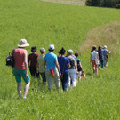 Umweltwoche KR__UTERWANDERUNG Schmid 03-06-2015 _12_.JPG