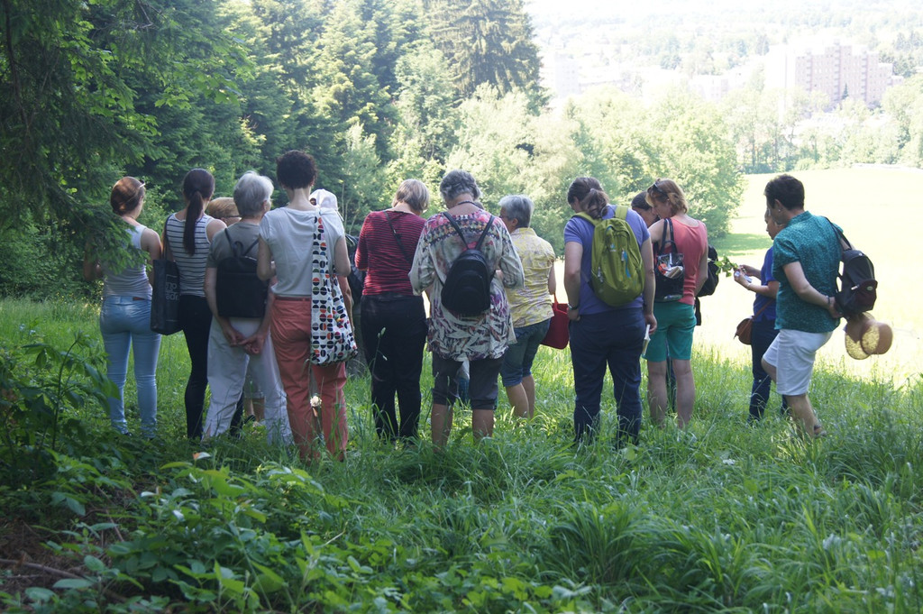 Umweltwoche KR__UTERWANDERUNG Schmid 03-06-2015 _7_.JPG