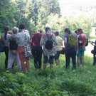 Umweltwoche KR__UTERWANDERUNG Schmid 03-06-2015 _7_.JPG