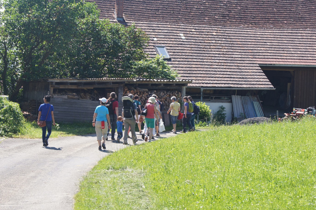 Umweltwoche KR__UTERWANDERUNG Schmid 03-06-2015 _13_.JPG