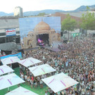 14056532.jpg