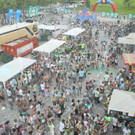 14056520.jpg