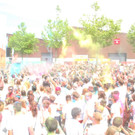 14055879.jpg