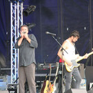 hvg07.jpg