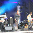 hvg08.jpg