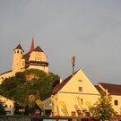 hvg12.jpg