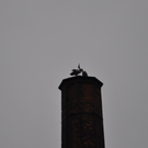 St__rche am 16_ Mai I.JPG